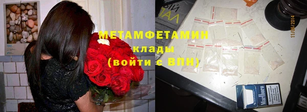 прущие грибы Богородицк