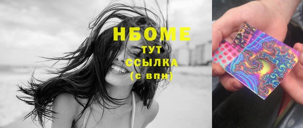 прущие грибы Богородицк
