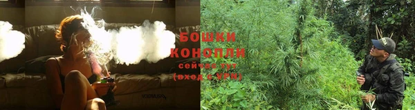 прущие грибы Богородицк