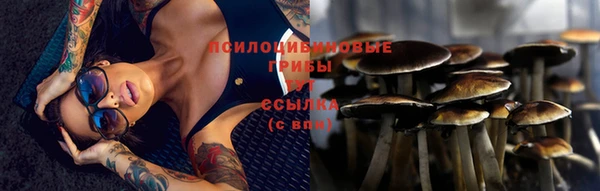 spice Богородск