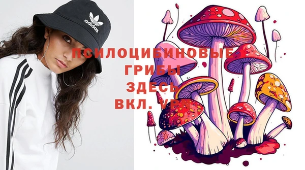 spice Богородск