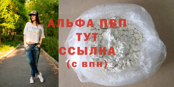 первитин Богданович