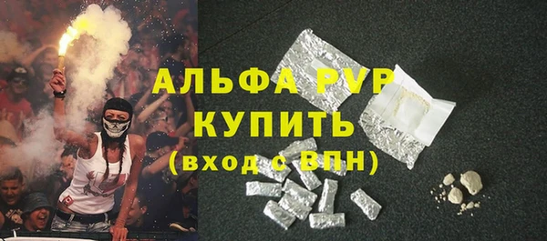прущие грибы Богородицк