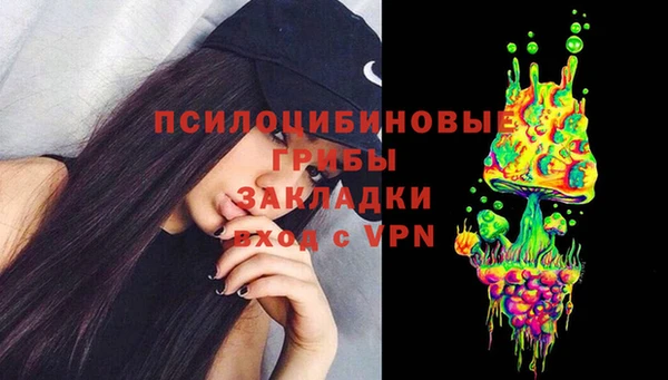 spice Богородск