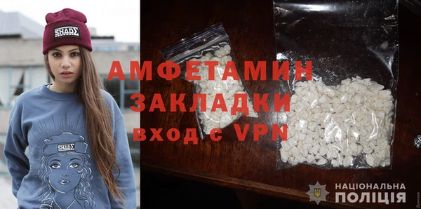 прущие грибы Богородицк