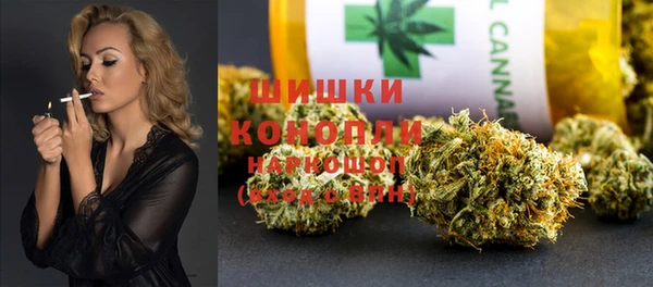 spice Богородск
