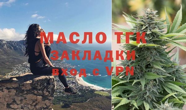 spice Богородск